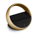 Bang & Olufsen BeoRemote Halo Dokunmatik Uzaktan Kumanda Gold