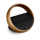 Bang & Olufsen BeoRemote Halo Dokunmatik Uzaktan Kumanda Bronz